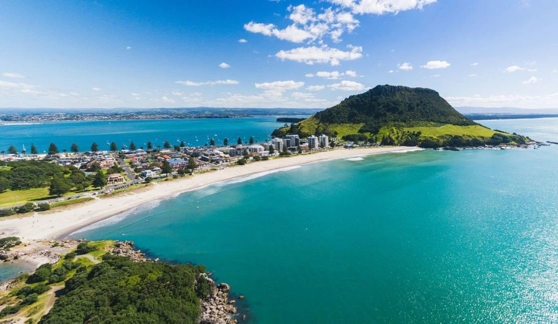 Collection of Mount Maunganui - Home of Mobile Systems Limited in a gallery layout